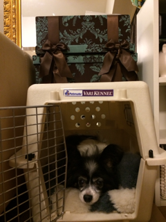 image-20131228224015.png