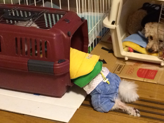 image-20131230174832.png