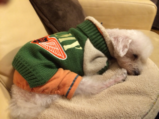 image-20140103232020.png