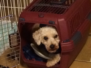 image-20140106222222.png