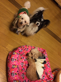 image-20140106222514.png