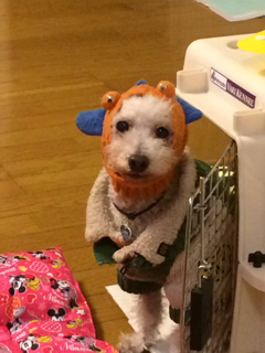 image-20140109135610.png