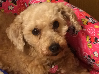 image-20140112171809.png