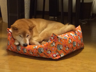 image-20140119235627.png