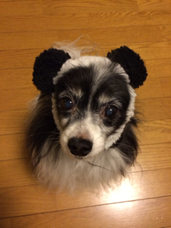 image-20140216023556.png