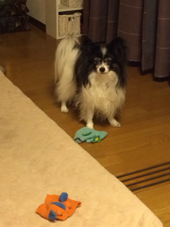 image-20140216024037.png