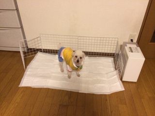 image-20140216225155.png