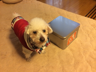 image-20140302110023.png