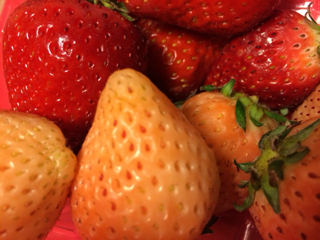 image-20140305234650.png