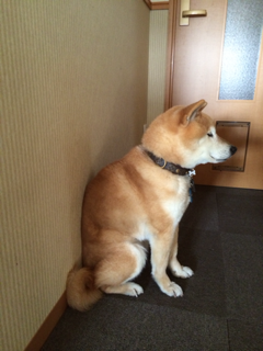 image-20140305234734.png