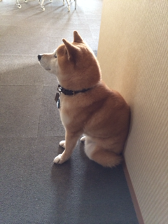 image-20140305234759.png
