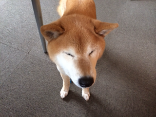 image-20140305234810.png