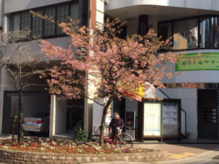 image-20140305234932.png