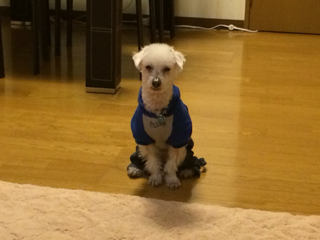 image-20140319094546.png
