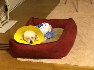 image-20140403183718.png